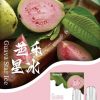 SP2s思博瑞 一代通用蛋