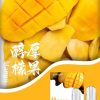SP2s思博瑞 一代通用蛋