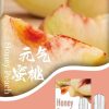 SP2s思博瑞 一代通用蛋